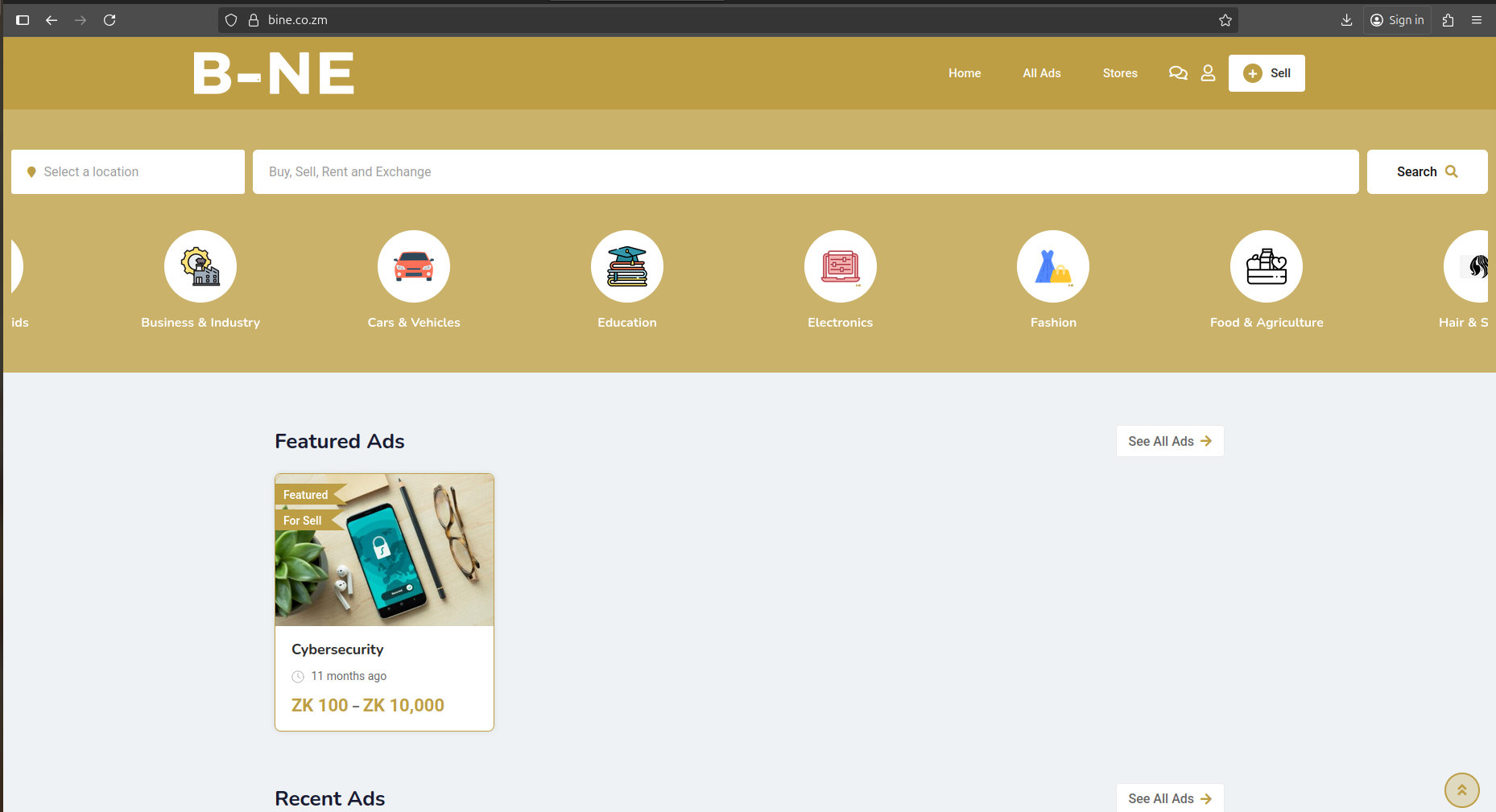 Project gallery image 1